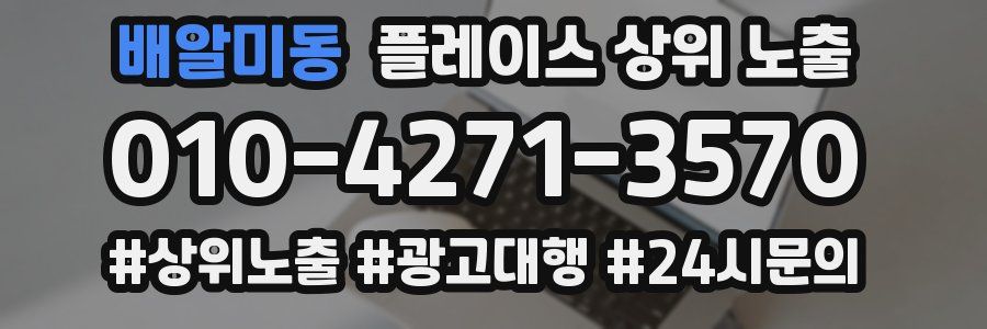 배알미동 플레이스 상위 노출