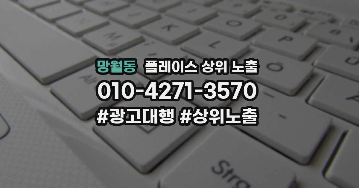 망월동 플레이스 상위 노출