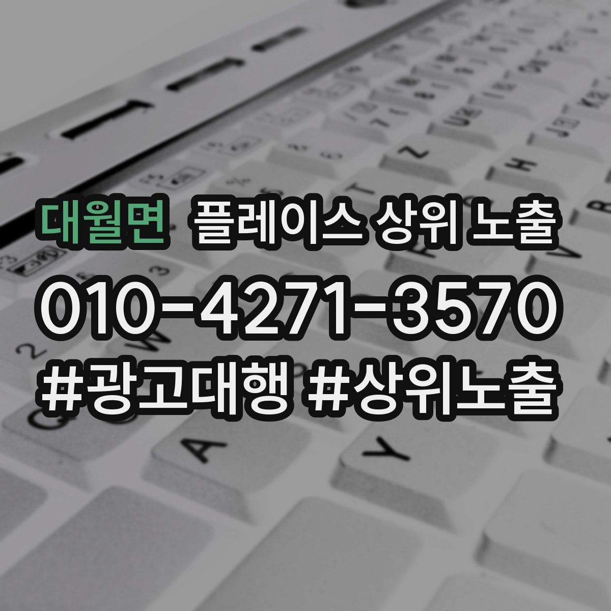 대월면 플레이스 상위 노출