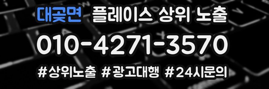 대곶면 플레이스 상위 노출