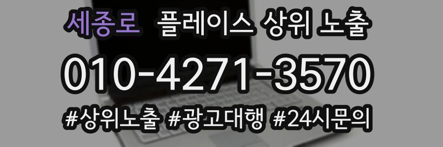 세종로 플레이스 상위 노출