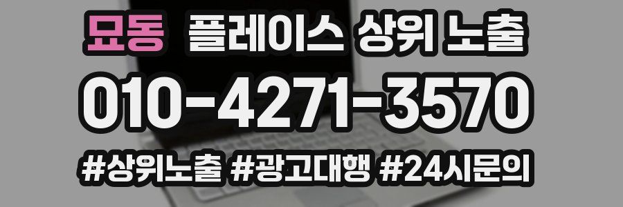묘동 플레이스 상위 노출