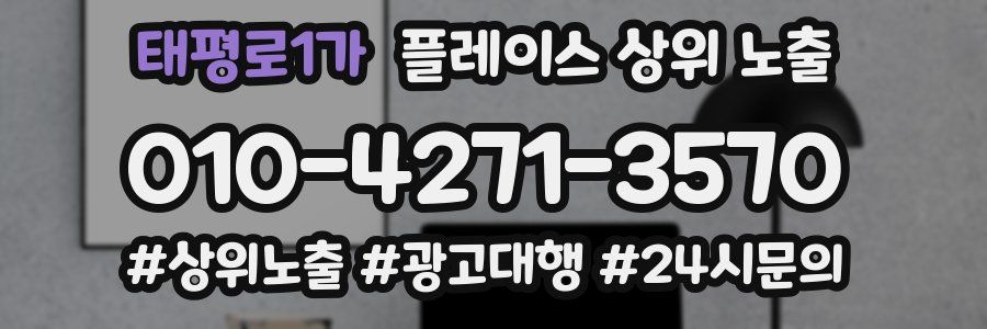 태평로1가 플레이스 상위 노출
