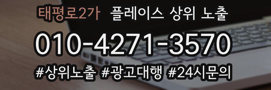 태평로2가 플레이스 상위 노출