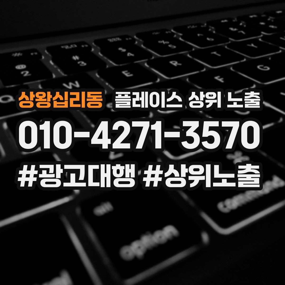 상왕십리동 플레이스 상위 노출 과장 없이 설득하는 소개글 구조