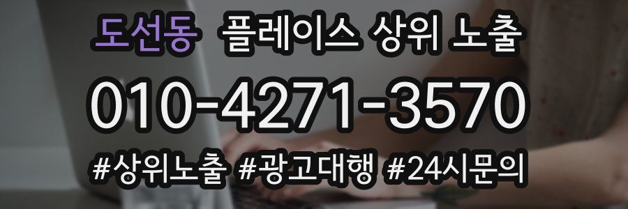 도선동 플레이스 상위 노출