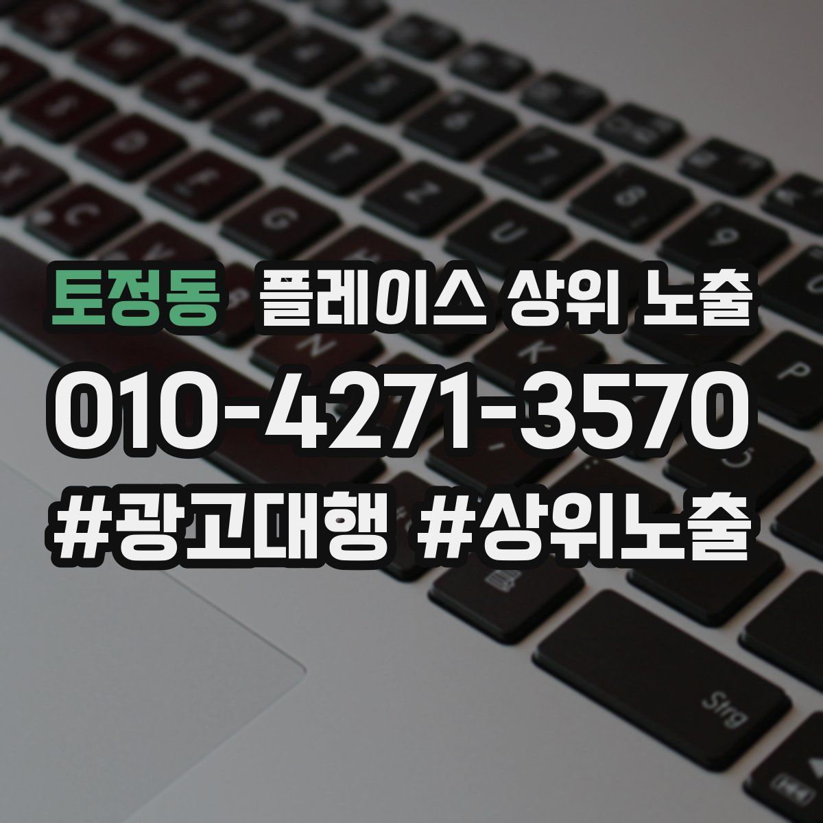 토정동 플레이스 상위 노출