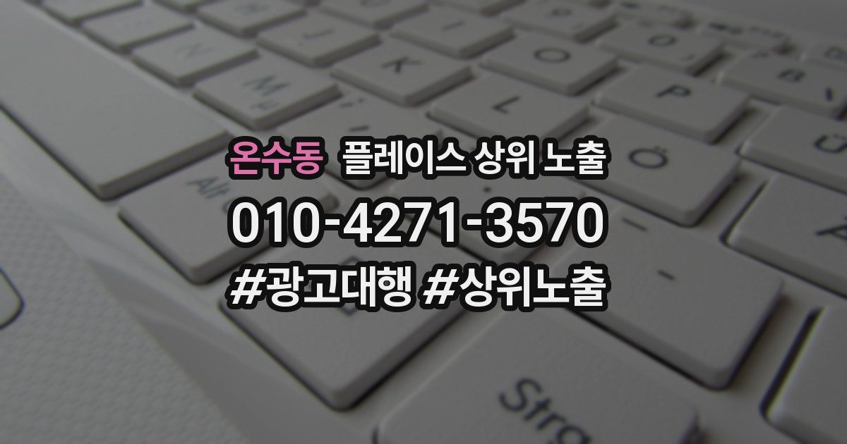 온수동 플레이스 상위 노출