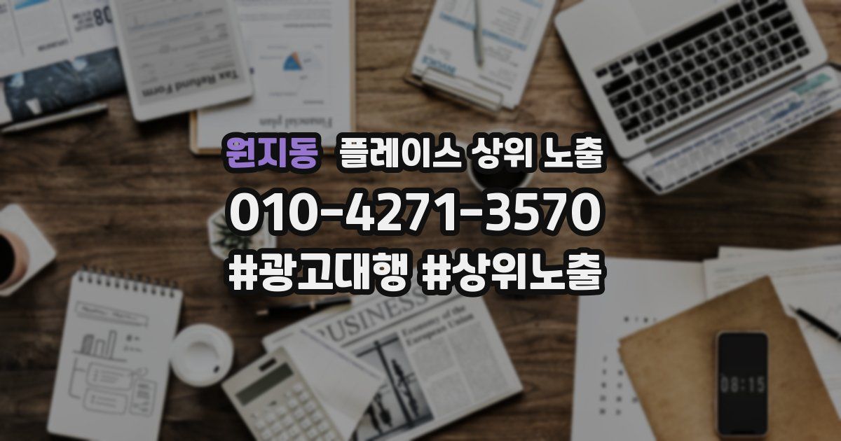 원지동 플레이스 상위 노출