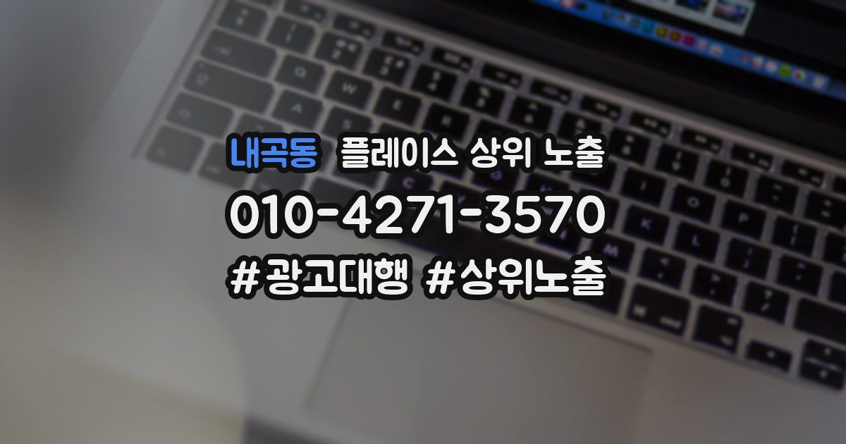 내곡동 플레이스 상위 노출