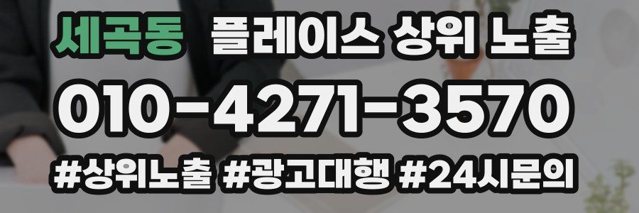 세곡동 플레이스 상위 노출