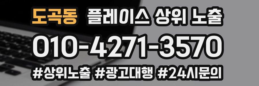 도곡동 플레이스 상위 노출