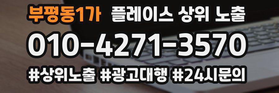 부평동1가 플레이스 상위 노출