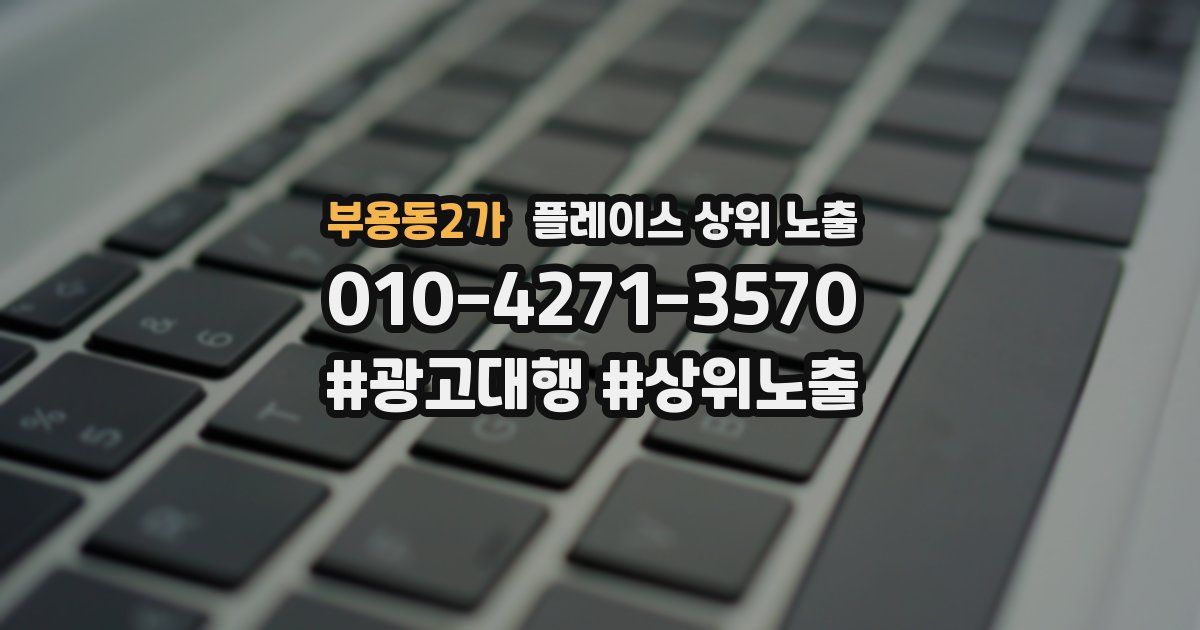 부용동2가 플레이스 상위 노출