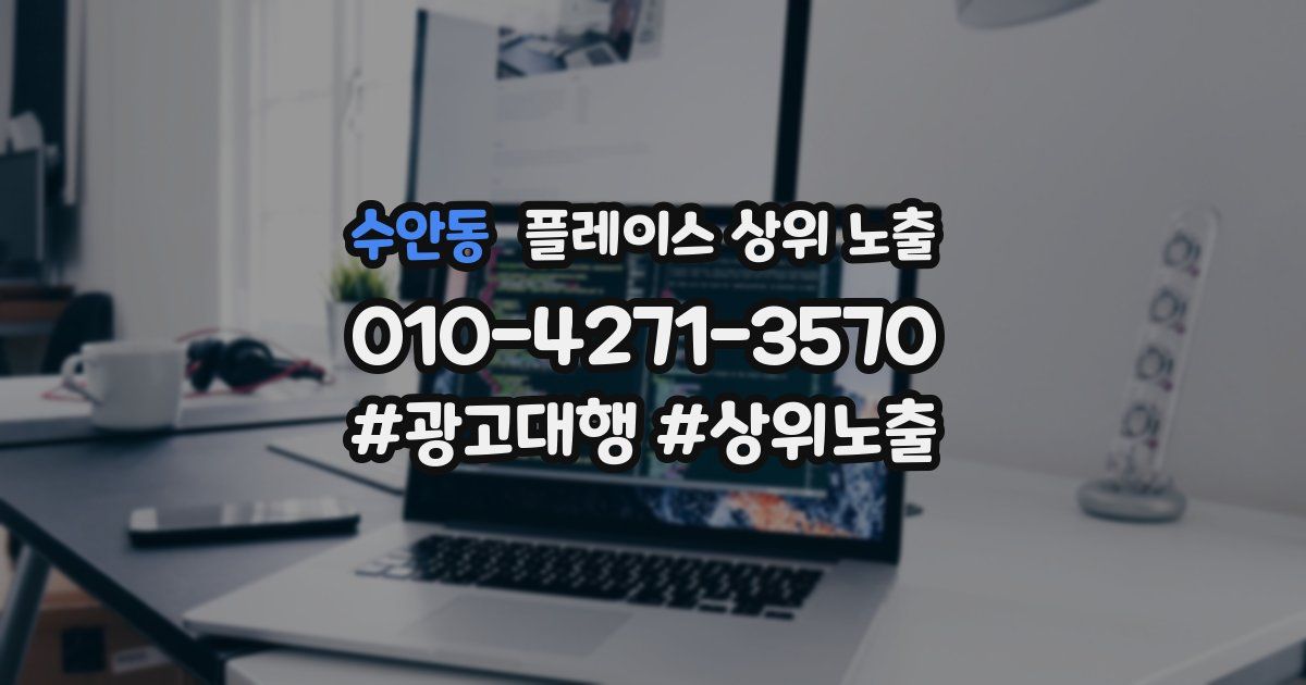 수안동 플레이스 상위 노출