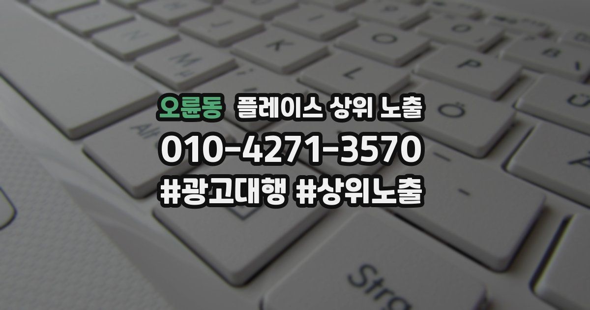 오륜동 플레이스 상위 노출