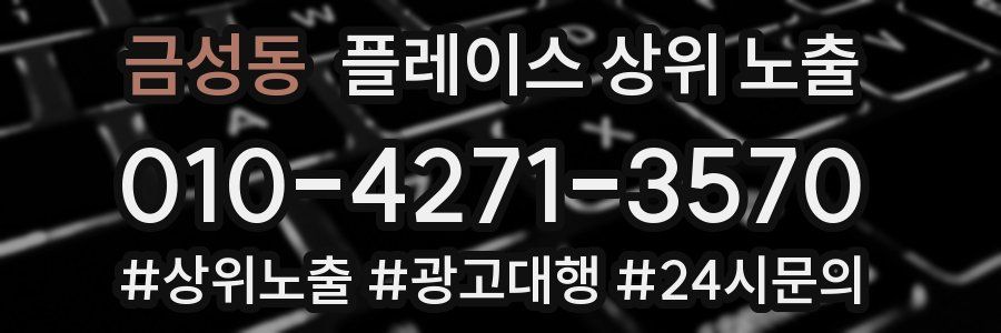 금성동 플레이스 상위 노출