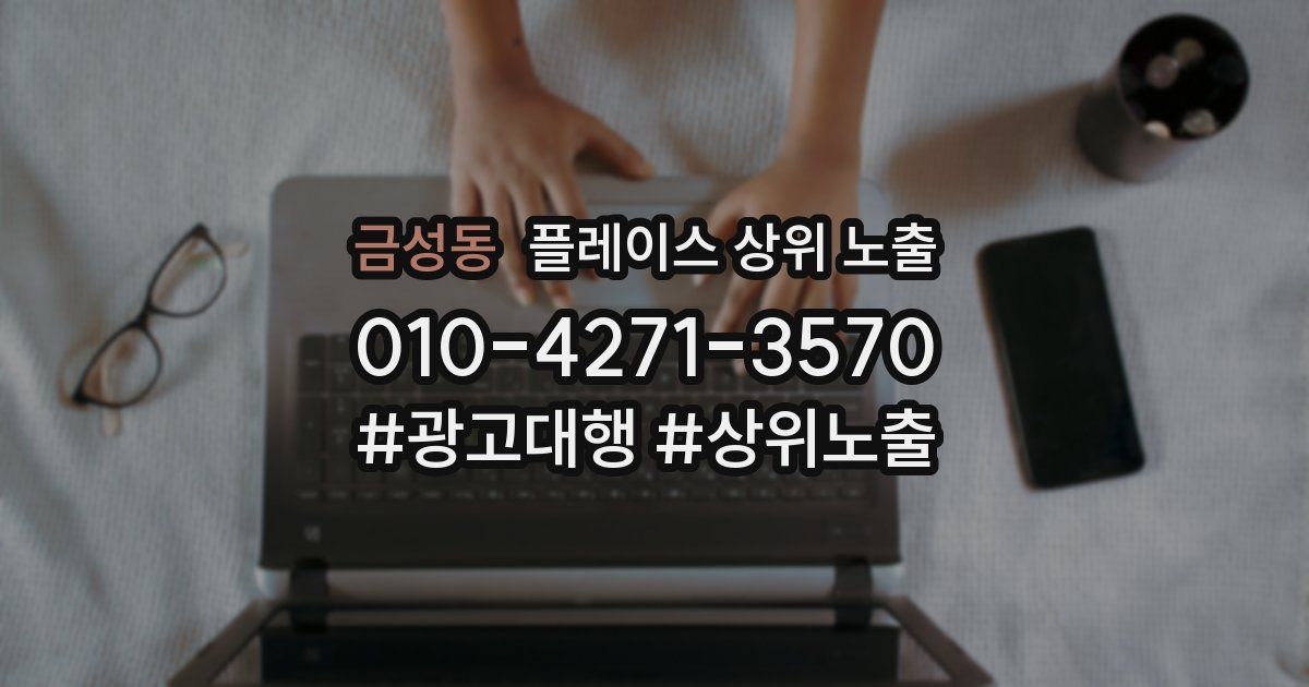 금성동 플레이스 상위 노출