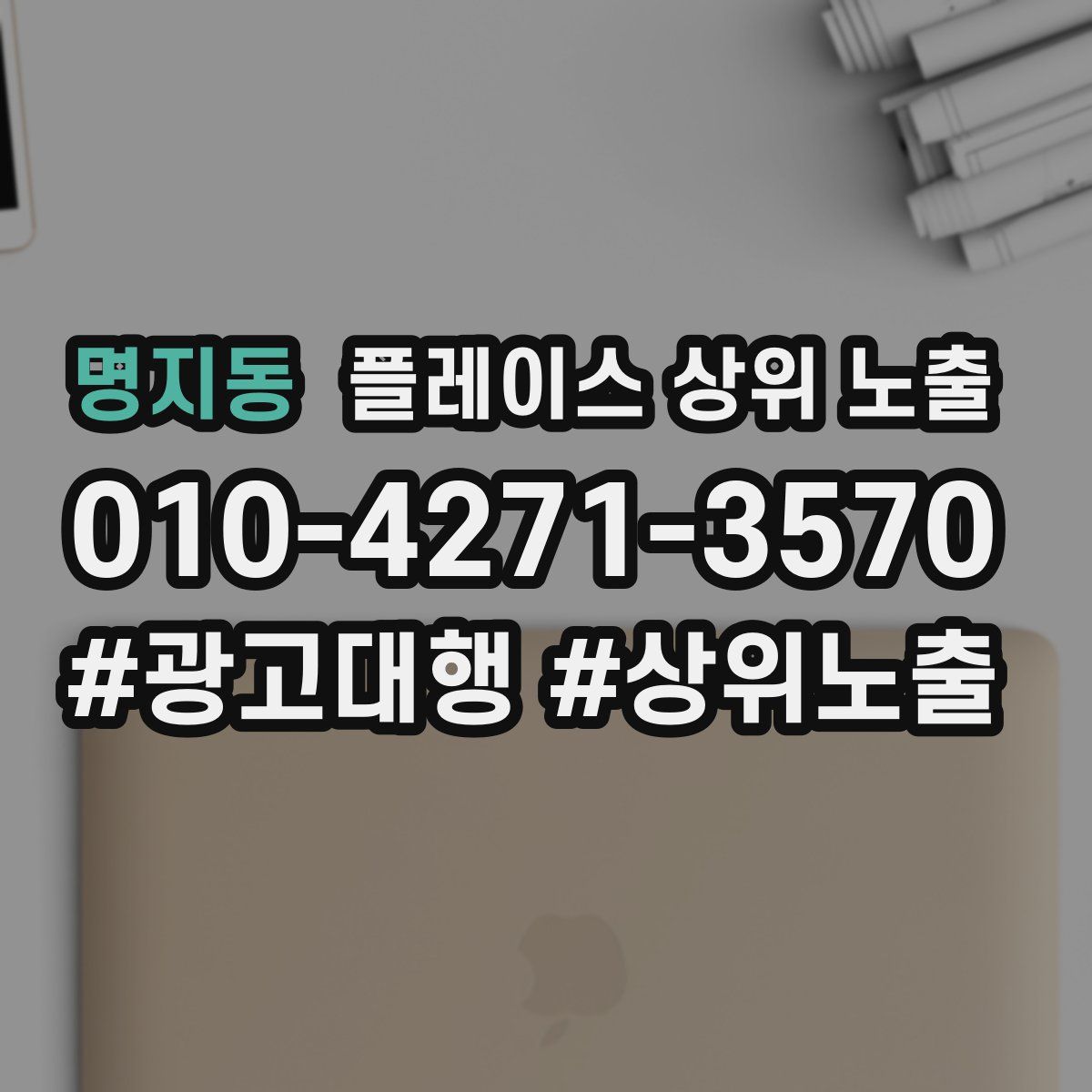 명지동 플레이스 상위 노출