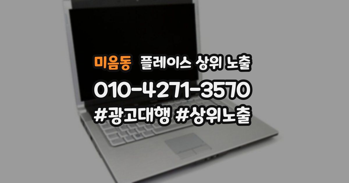 미음동 플레이스 상위 노출