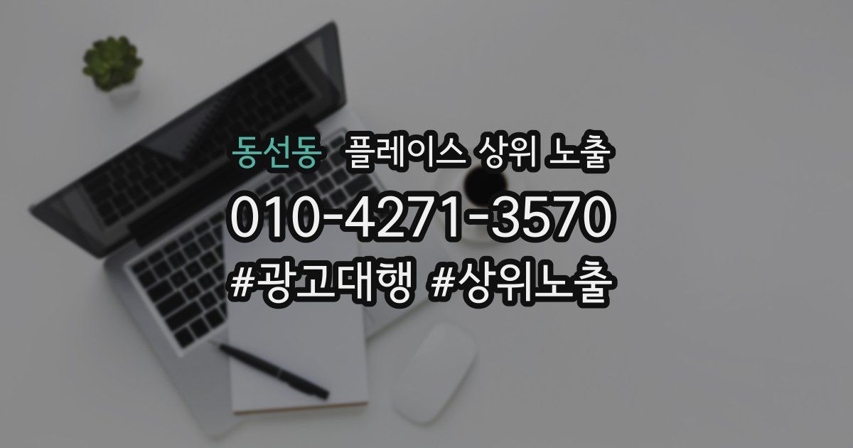 동선동 플레이스 상위 노출