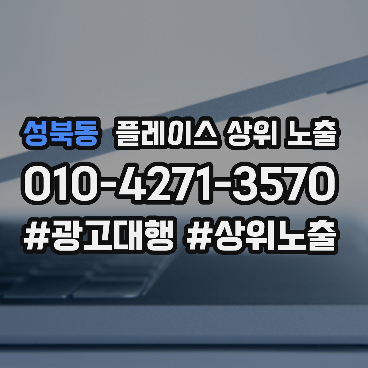 성북동 플레이스 상위 노출