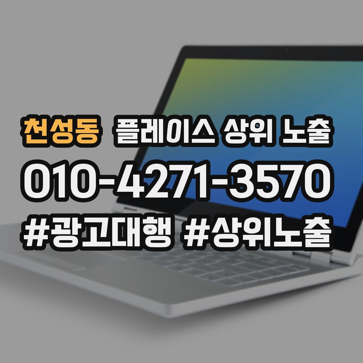 천성동 플레이스 상위 노출