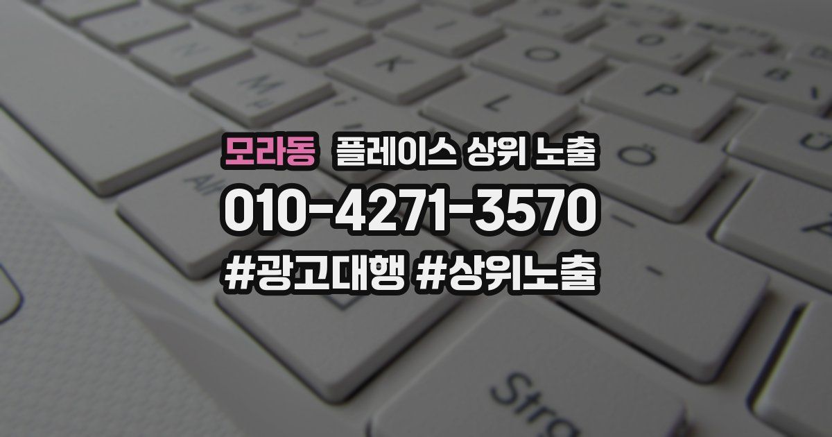 모라동 플레이스 상위 노출