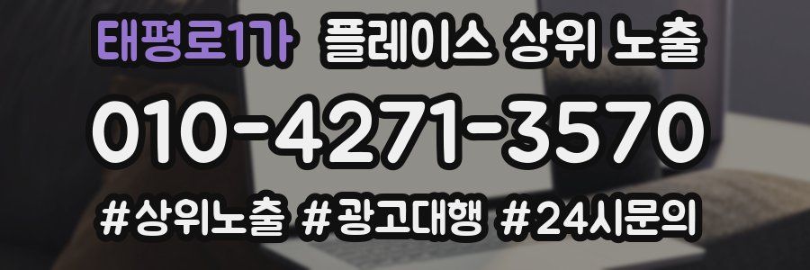 태평로1가 플레이스 상위 노출