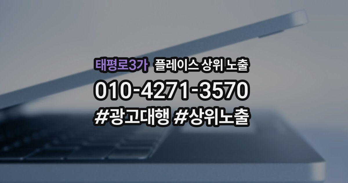 태평로3가 플레이스 상위 노출