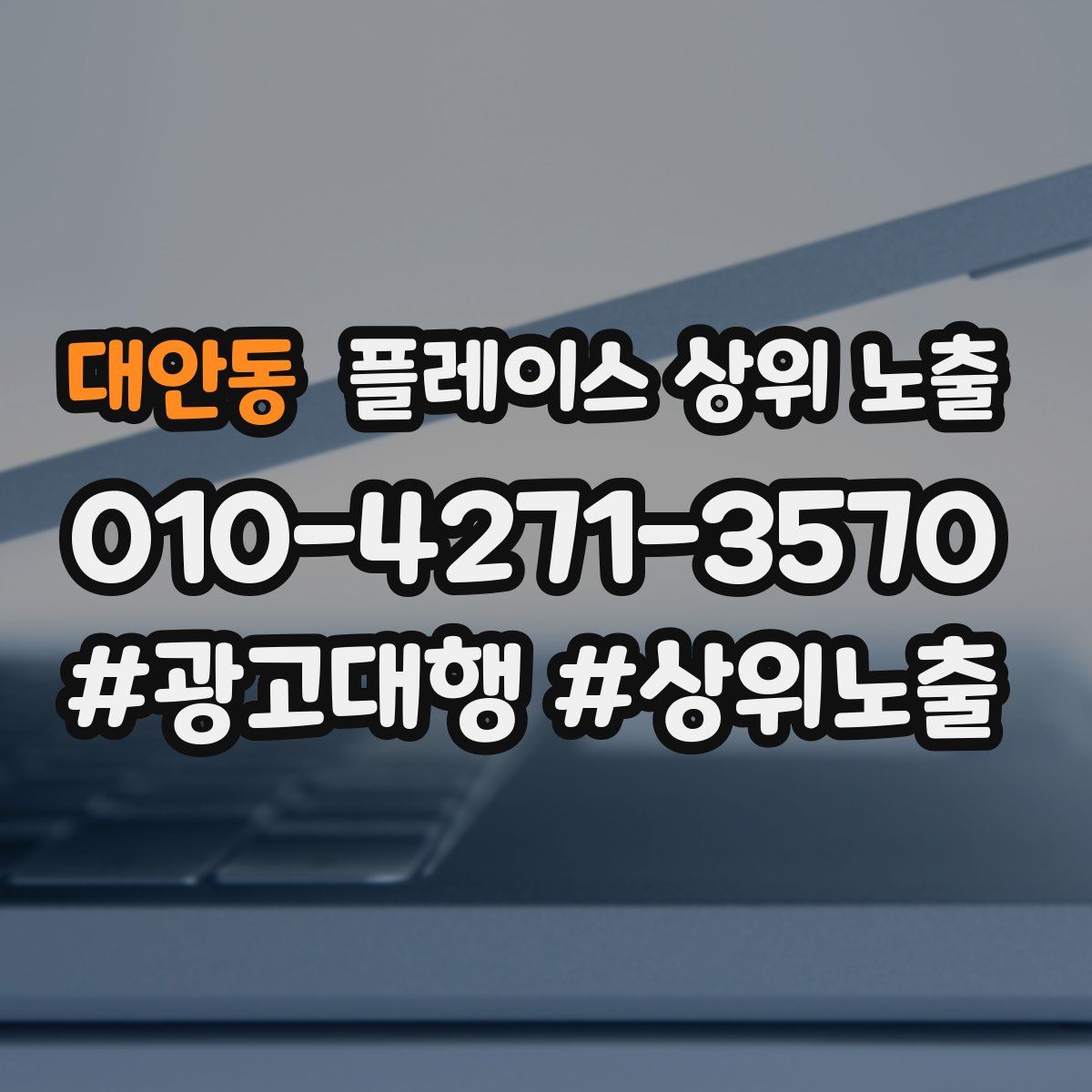대안동 플레이스 상위 노출