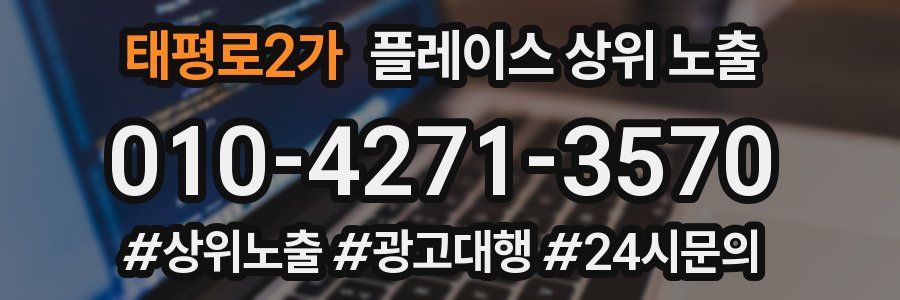 태평로2가 플레이스 상위 노출