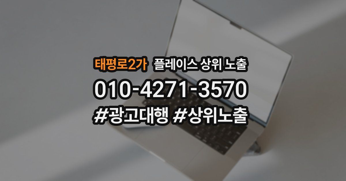 태평로2가 플레이스 상위 노출