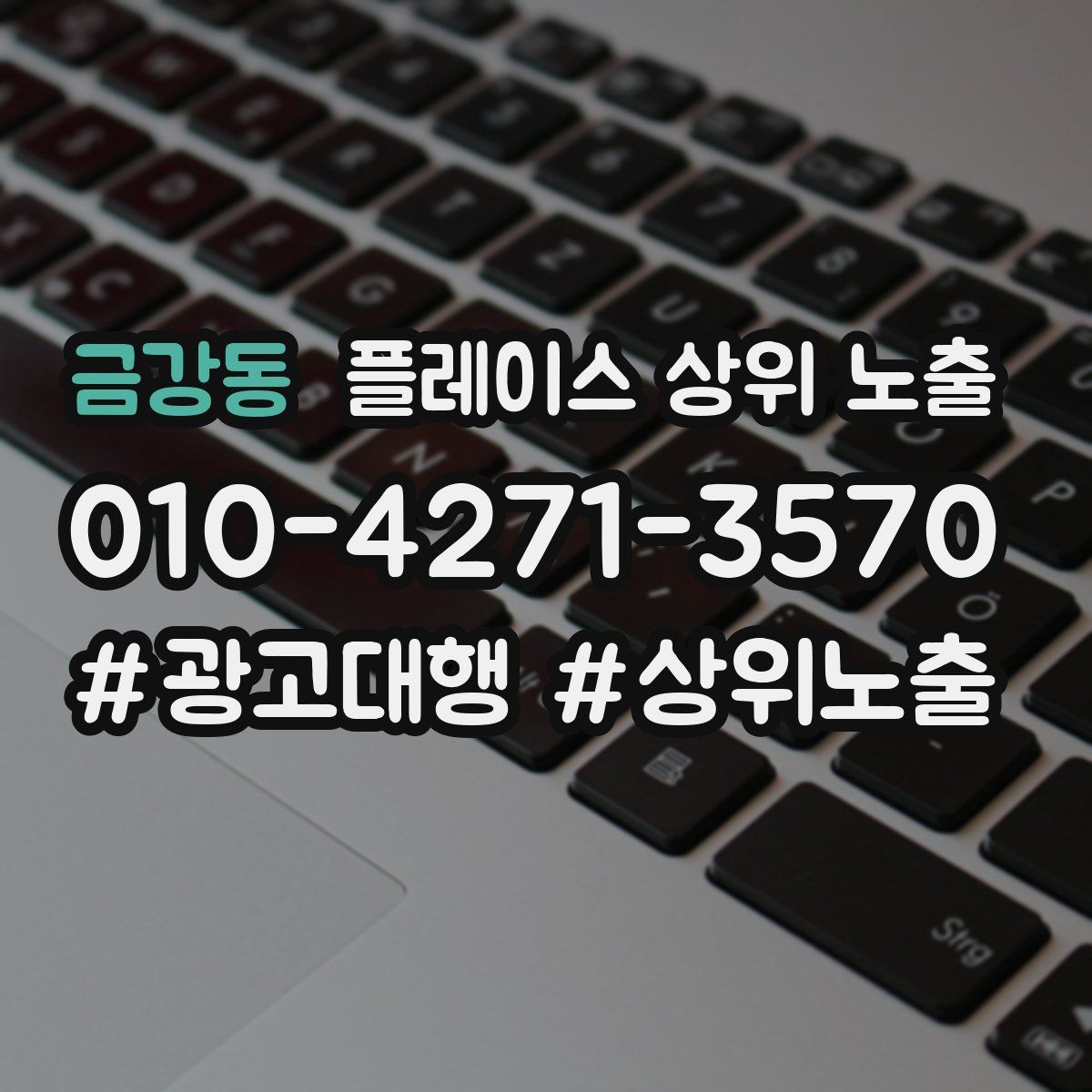 금강동 플레이스 상위 노출