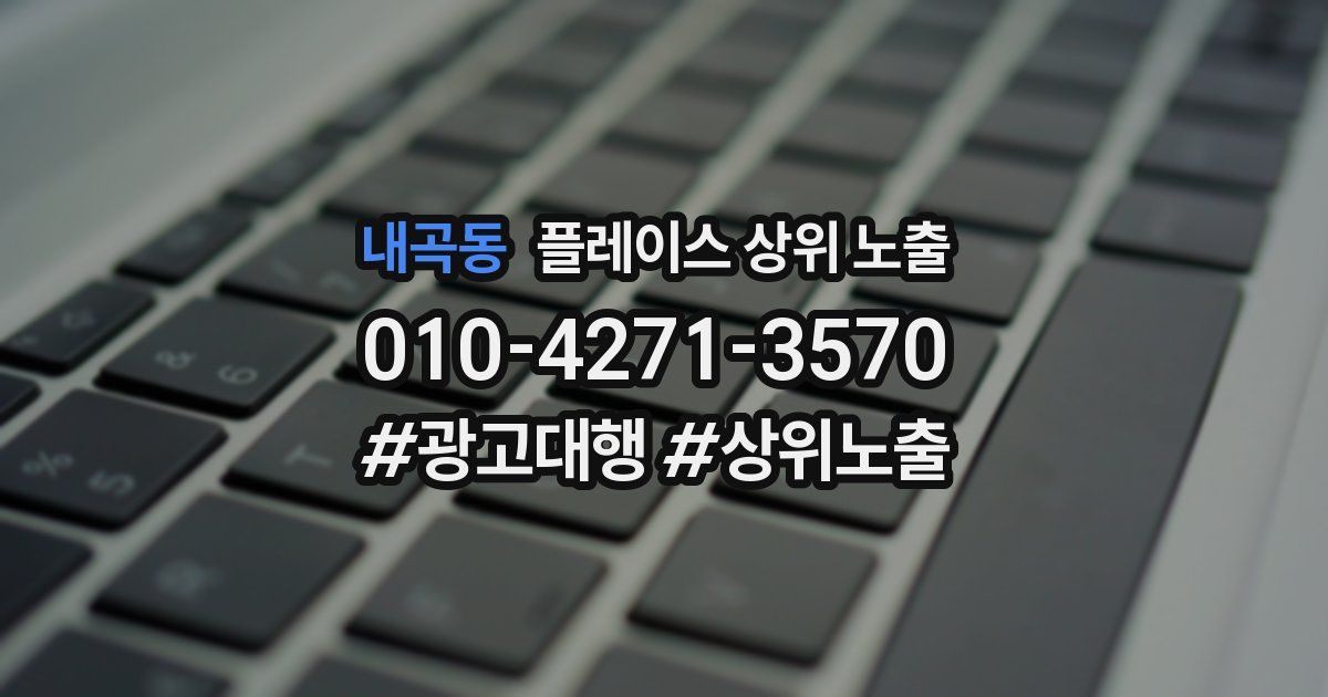 내곡동 플레이스 상위 노출