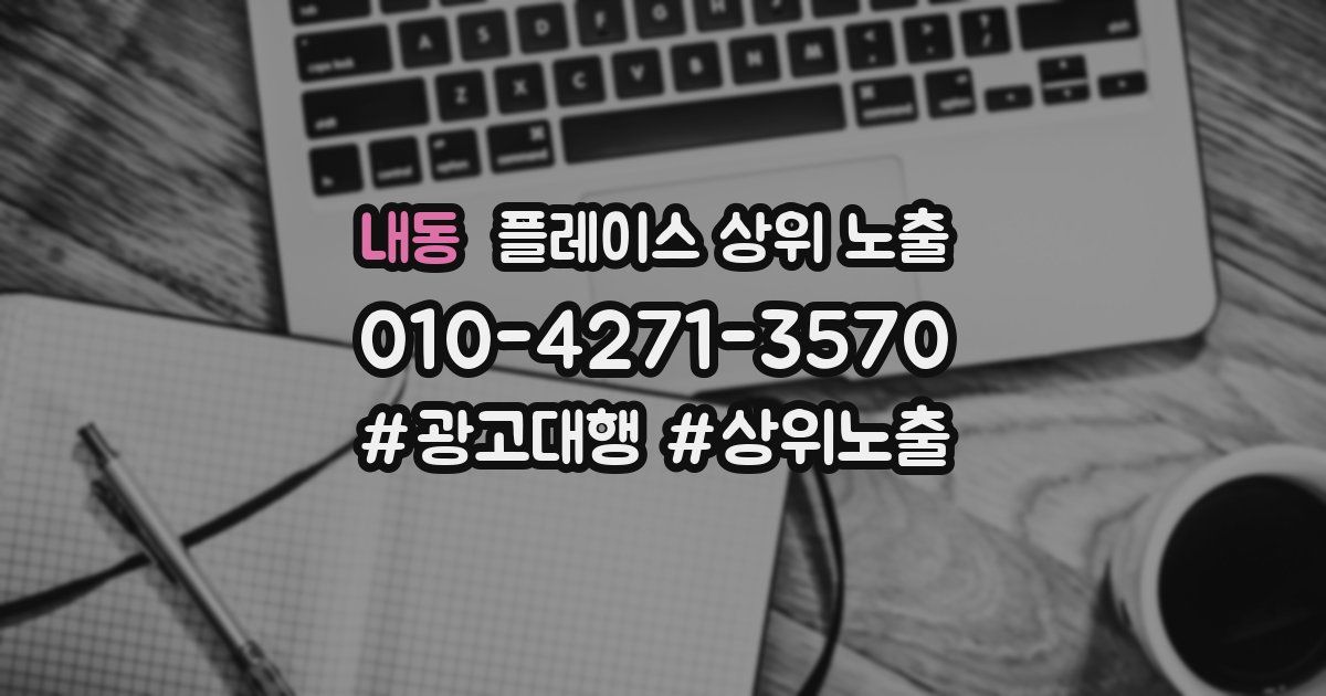내동 플레이스 상위 노출