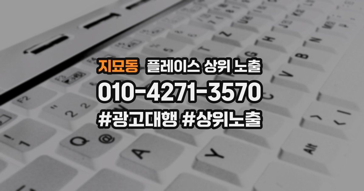 지묘동 플레이스 상위 노출