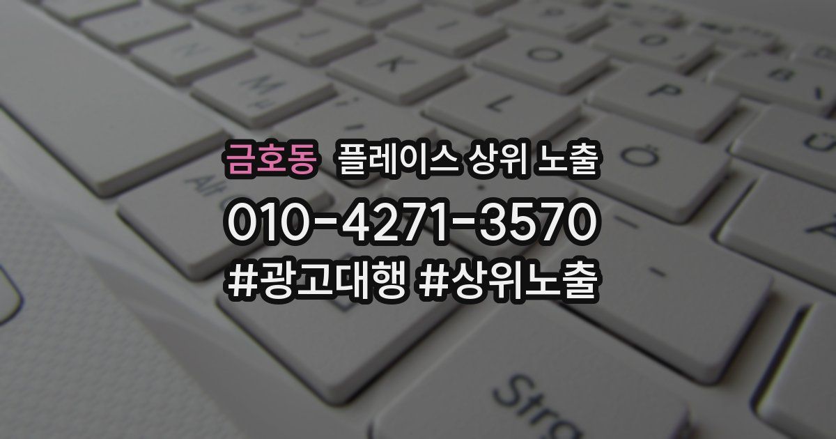 금호동 플레이스 상위 노출