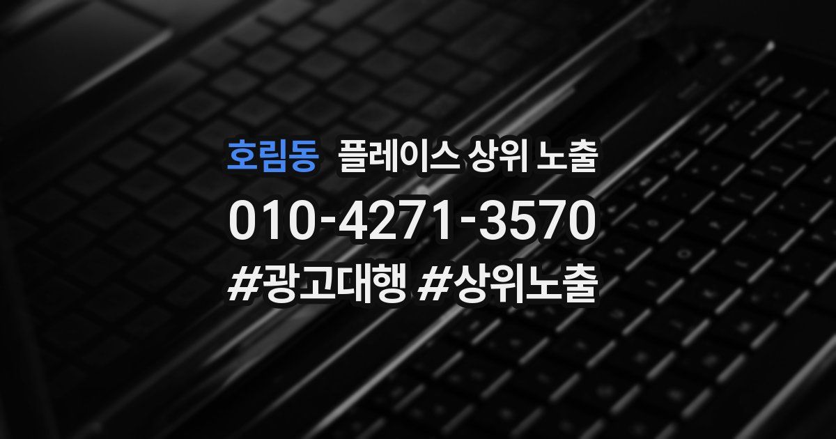 호림동 플레이스 상위 노출