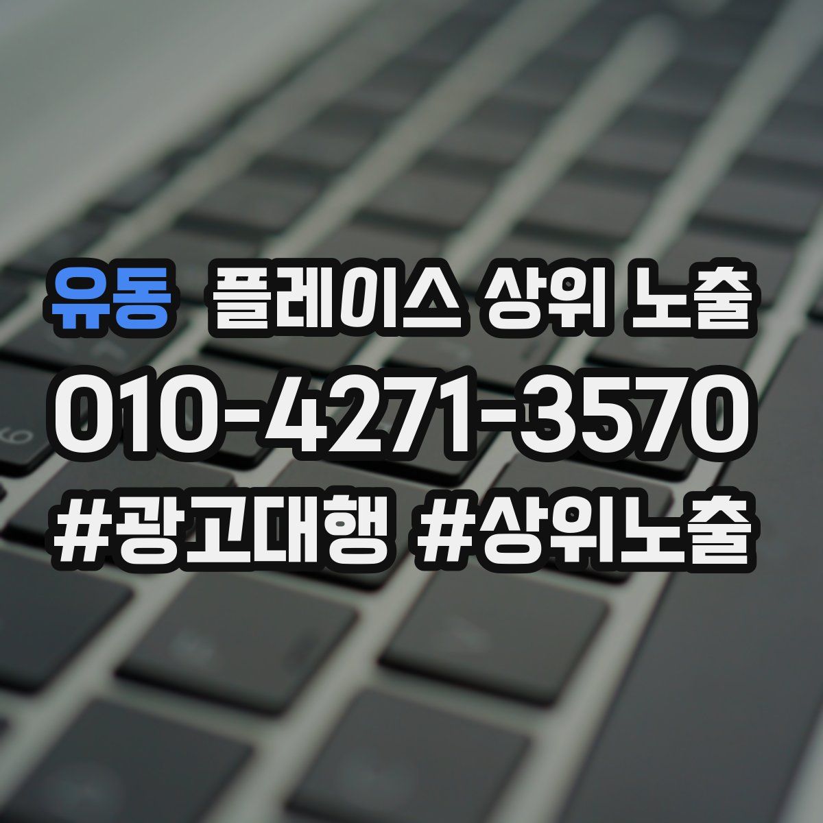유동 플레이스 상위 노출