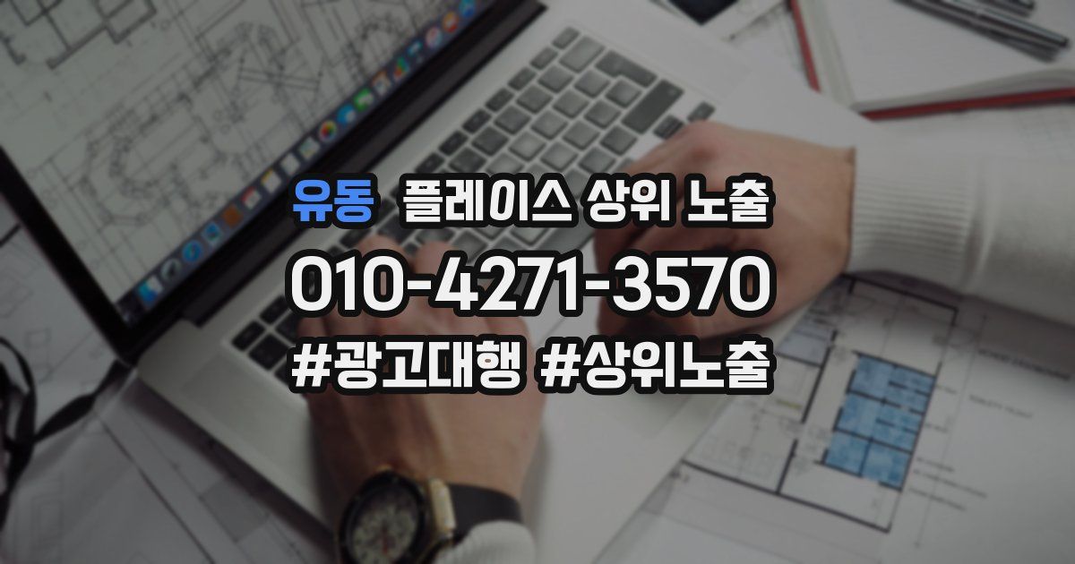 유동 플레이스 상위 노출