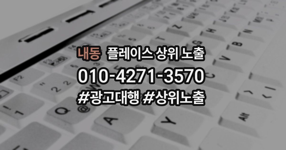 내동 플레이스 상위 노출