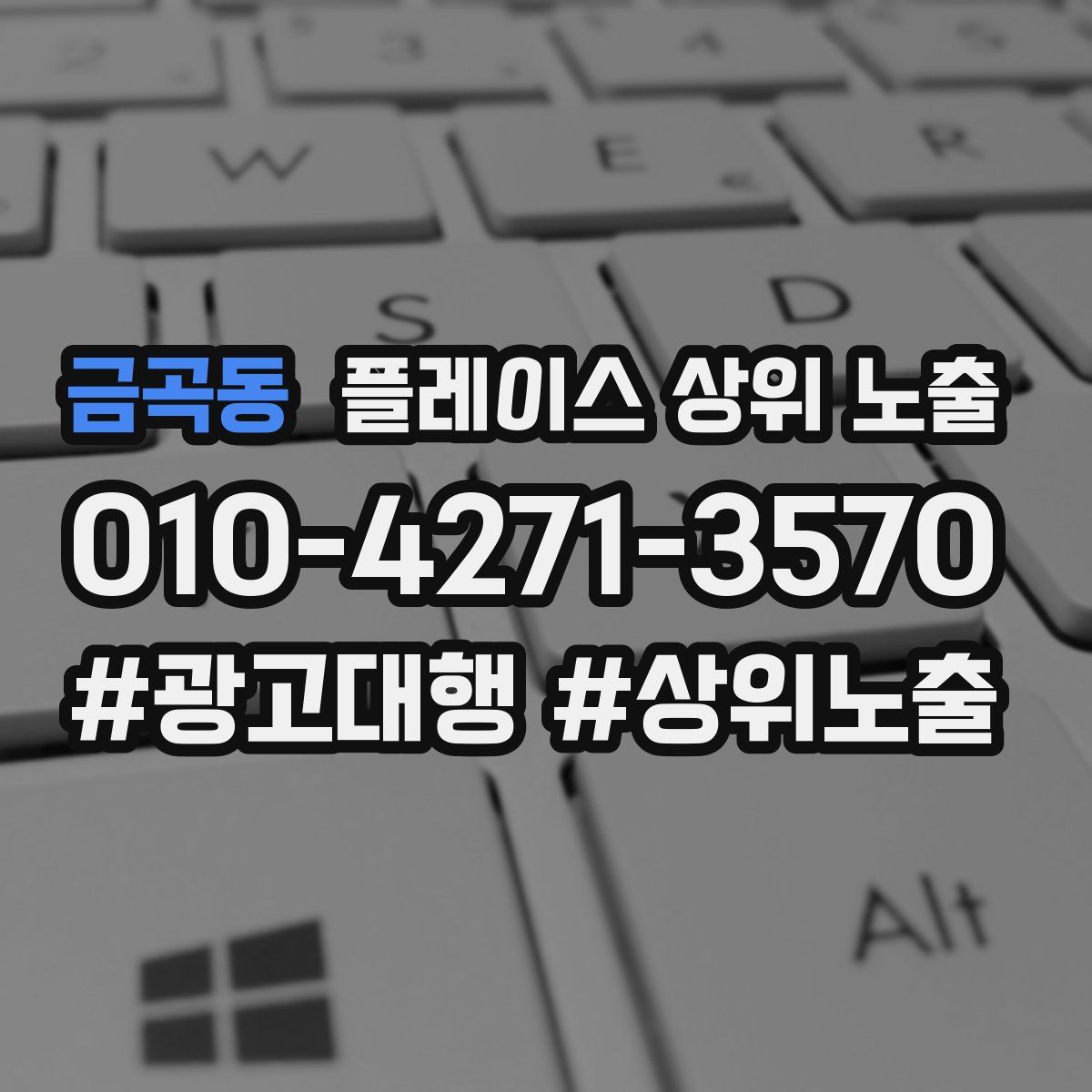 금곡동 플레이스 상위 노출