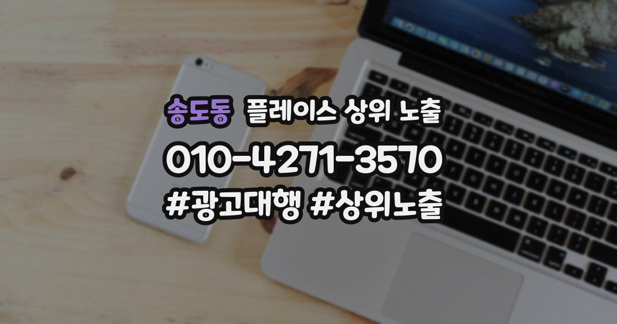 송도동 플레이스 상위 노출