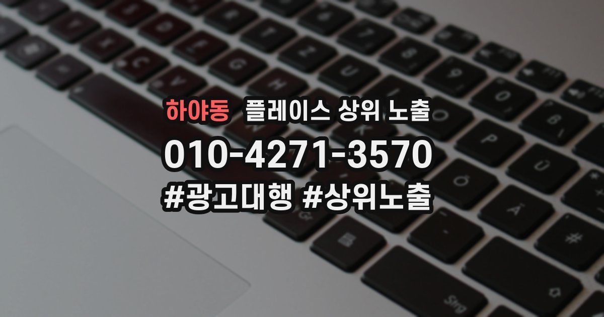 하야동 플레이스 상위 노출
