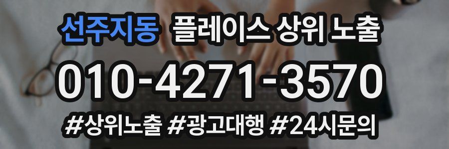 선주지동 플레이스 상위 노출