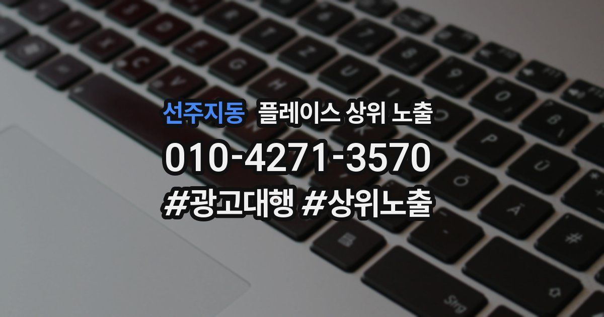 선주지동 플레이스 상위 노출