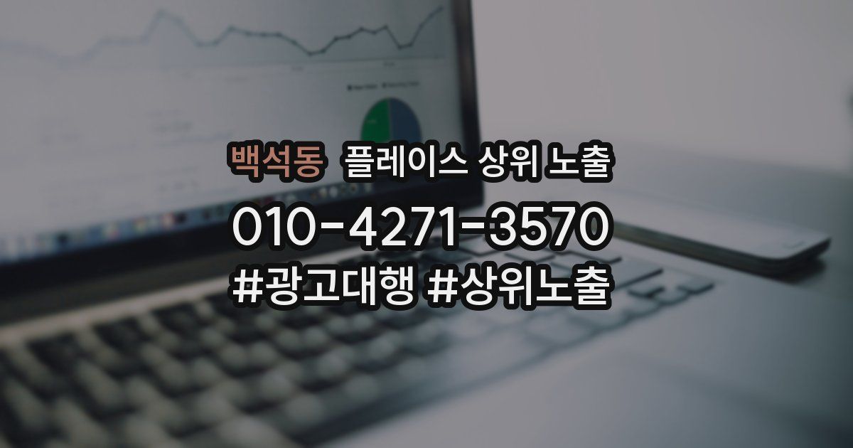 백석동 플레이스 상위 노출