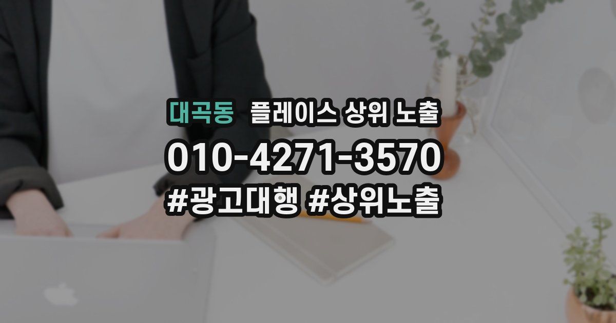 대곡동 플레이스 상위 노출