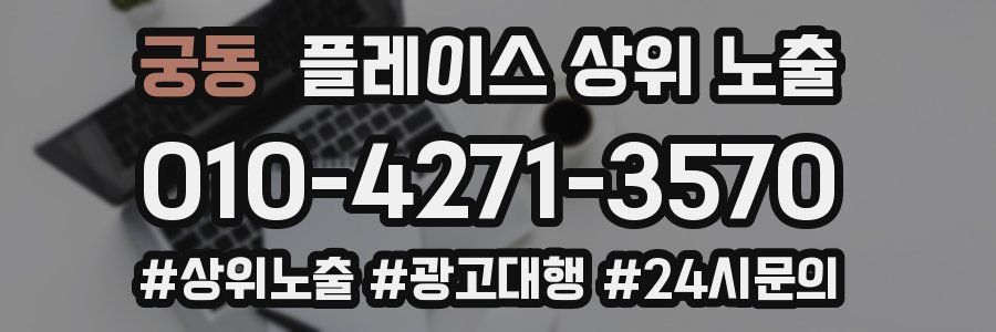 궁동 플레이스 상위 노출